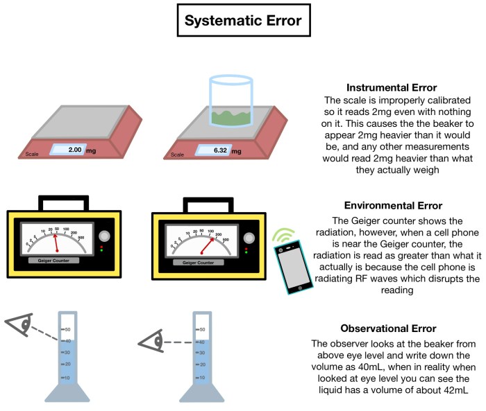 Language acquisition second errors developmental students